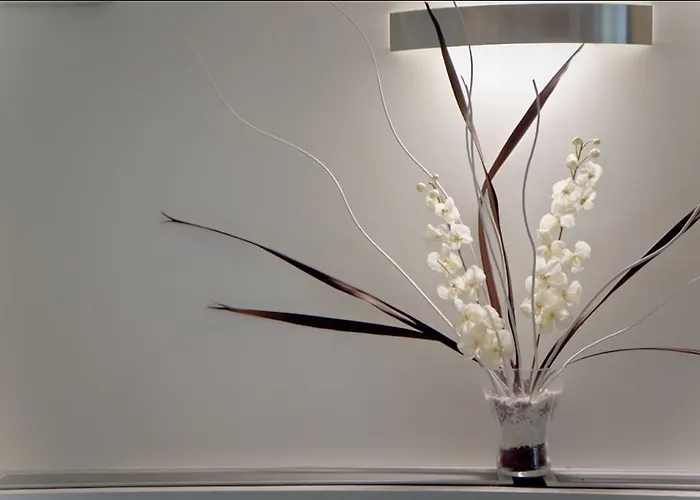 卡诺瓦酒店 3* 米兰